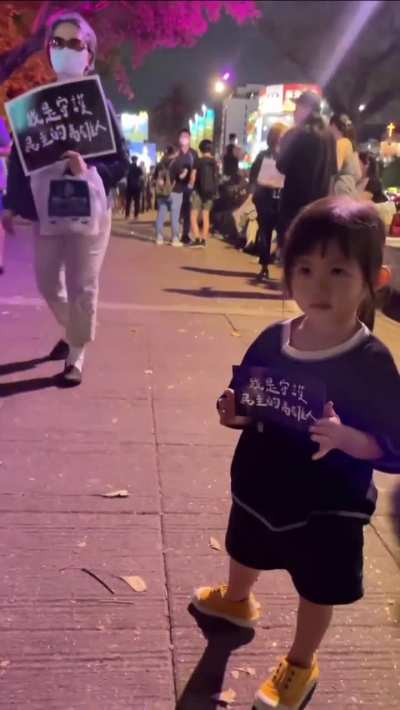 台湾高雄，<wbr>抗议国会改<wbr>革的小女孩<wbr>。（来源： thread jamie<wbr>sfrie<wbr>nds）