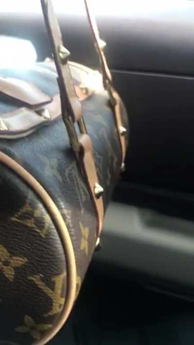 what louis vuitton bag is this, & does it look real?