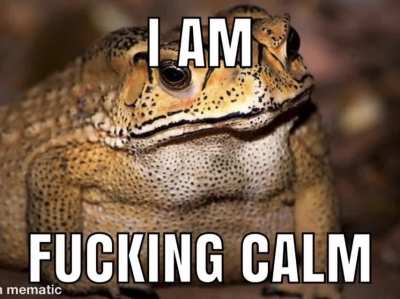 Toad has had enough