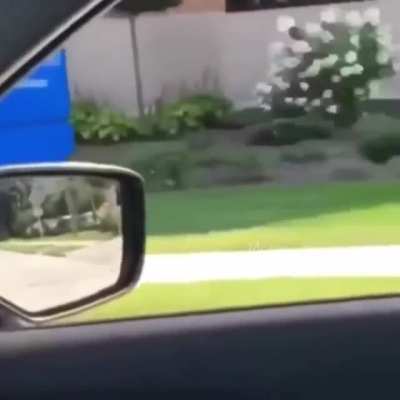 The chase