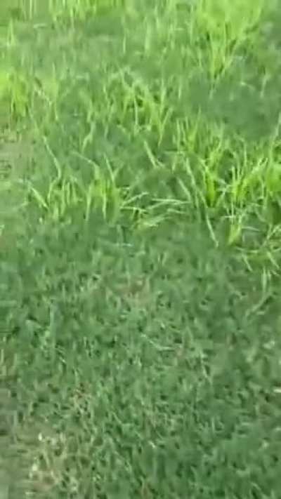 what kinda drug does this?