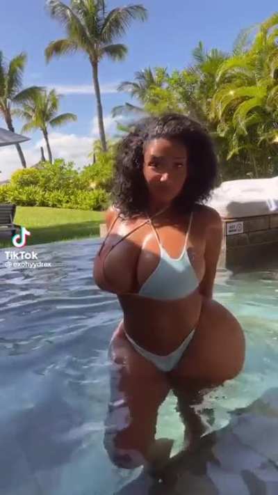 The Whole Package