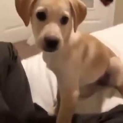 AwawawawAAAAAAAAA