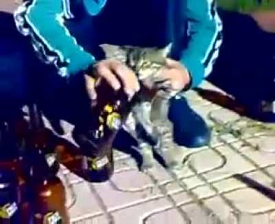 Çok tatlılar