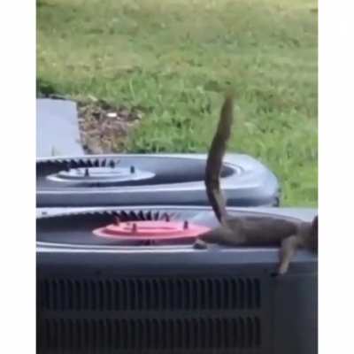 Você foi cagado