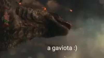 a gaviota :)