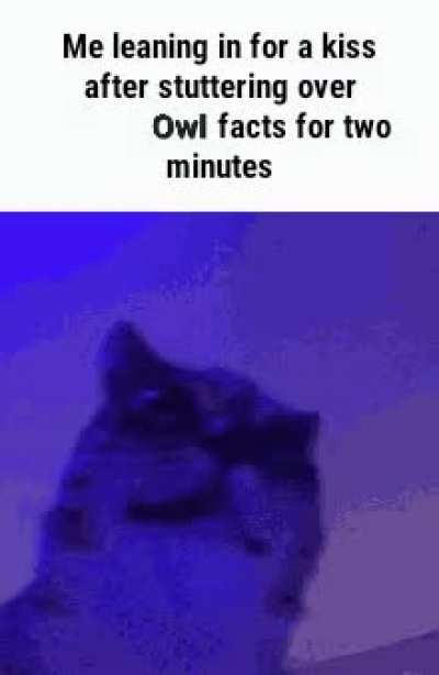 I'm too fast