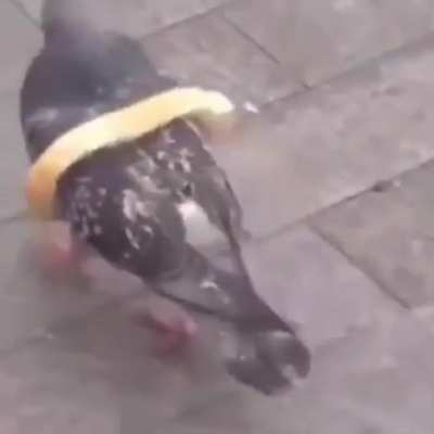 Osasco, 2020