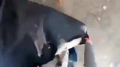 Motor bakımı