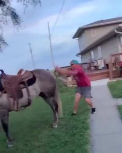 Nutsack B E G O N E