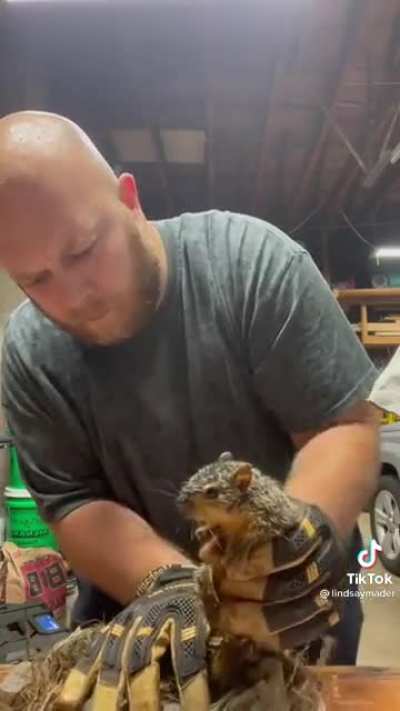Guy saving a squirrel bites off more than he can chew