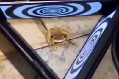 hehehehehehe.