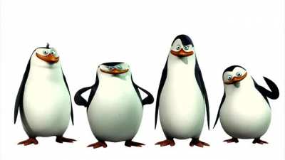 yes
