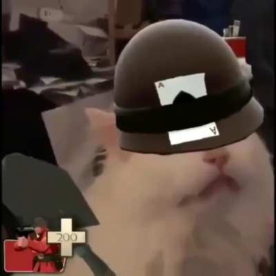 Fight to the Death