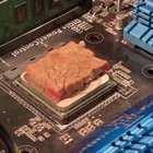 Ryzen Processed Meat