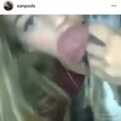 🐶💊