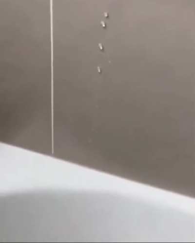 Sweaty tiles.