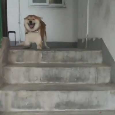 The joy when I get home