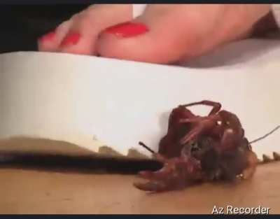 Tammy wearing platform flip-flops to crush crayfish, very slowly. My favorite style.