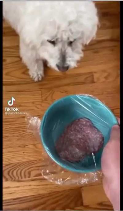 Dog attack