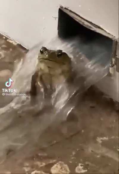 casually taking shower