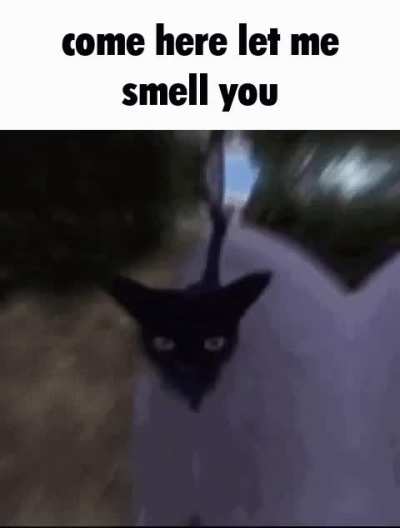yay 😁