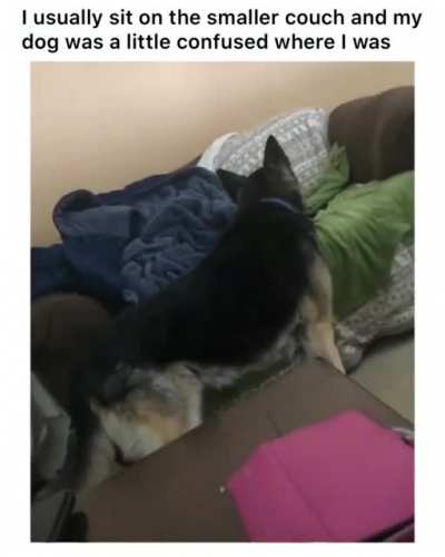 where are you human?