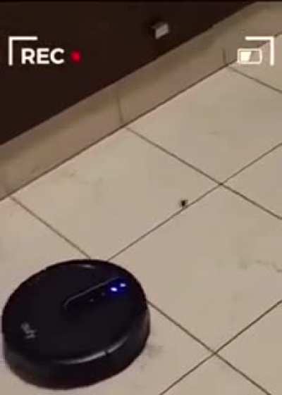To escape