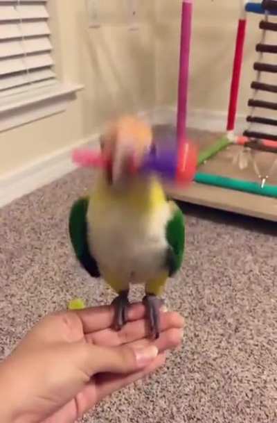 It’s party time