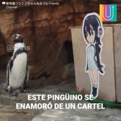 Final emotivo.