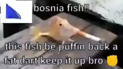 Bosnia😎😎