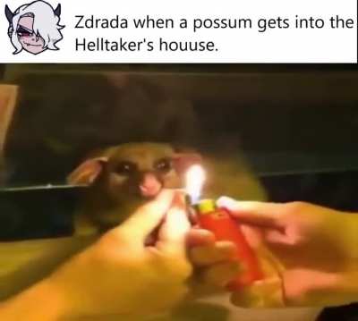 Zdrada: