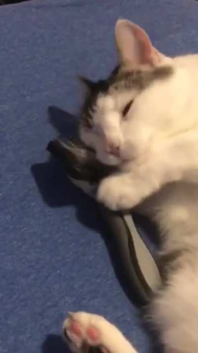 he loves his brush