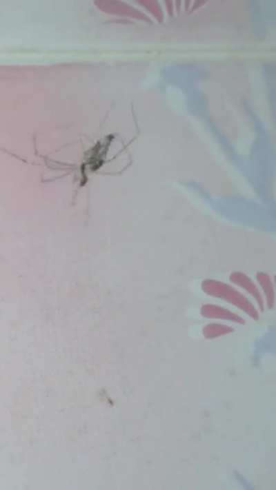 I was bathing when I saw this . Proceeded to stop my bath and record it