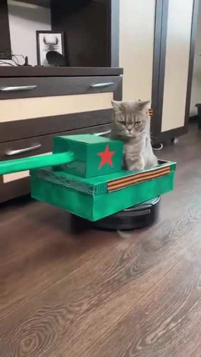С Празд<wbr>ником<wbr>, котаны!