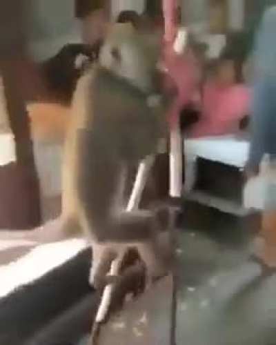 Mono