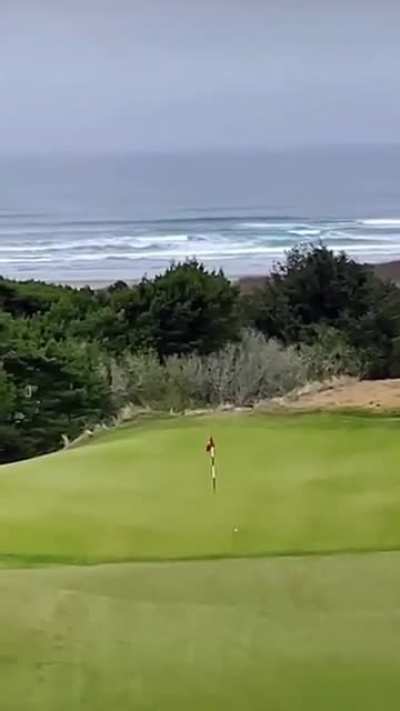 Me who struggles to get onto the green 1st shot on a par 3. And then there is this man.