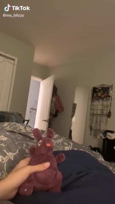 Doggo scare