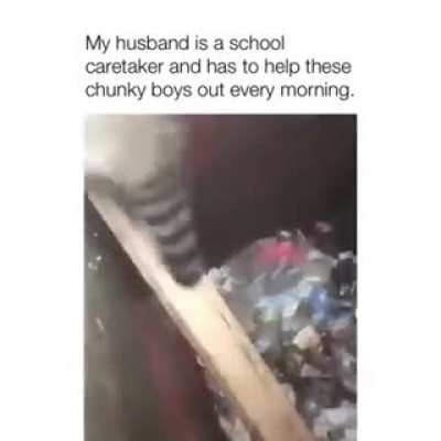 Chunky Trash Pandas