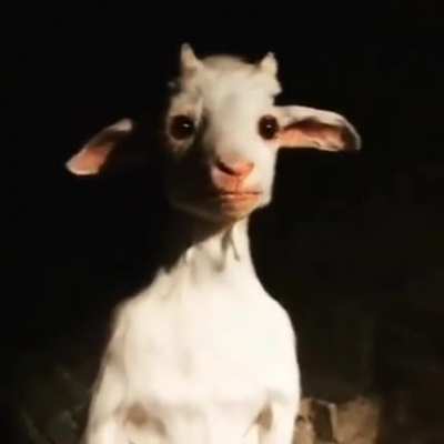Que hacen si ven esto afuera de tu casa