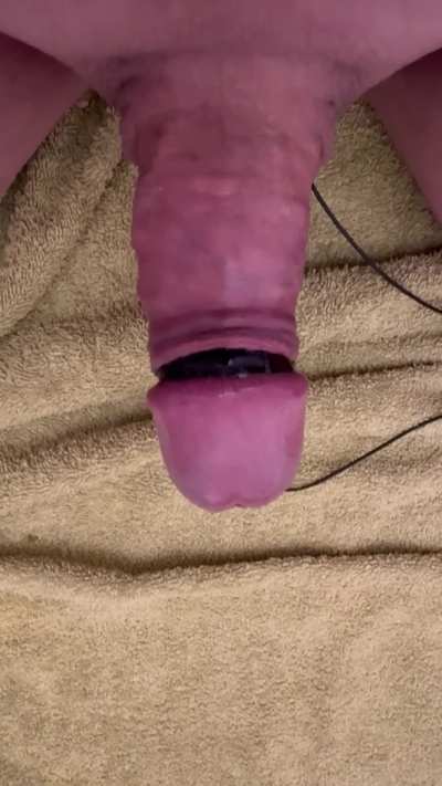 3rd day in a row of e-stim and it was the best HFO of the 3. It got me a moaning and shaki<wbr>ng🥵🥵