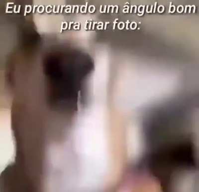 eu_nvr