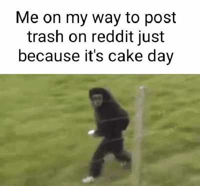 hapi monke day