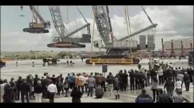 This's what happen when you own too many crane and don't know what to use it for