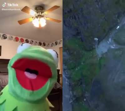RIP Kermit