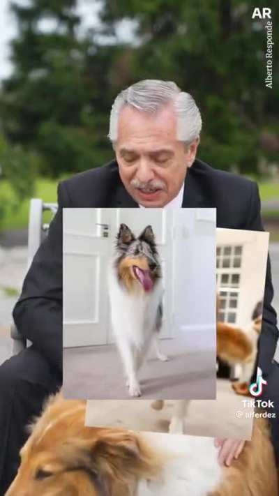 Dolar blue 800 pesos, mientras Alberto...