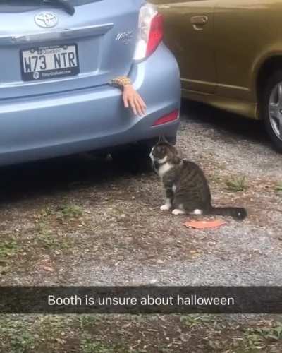 He would REALLY like to help.