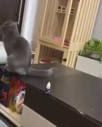 Touch tha glue