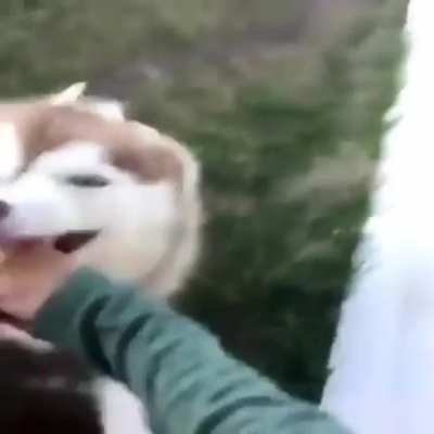 XD
