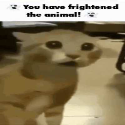 Repost wunkus